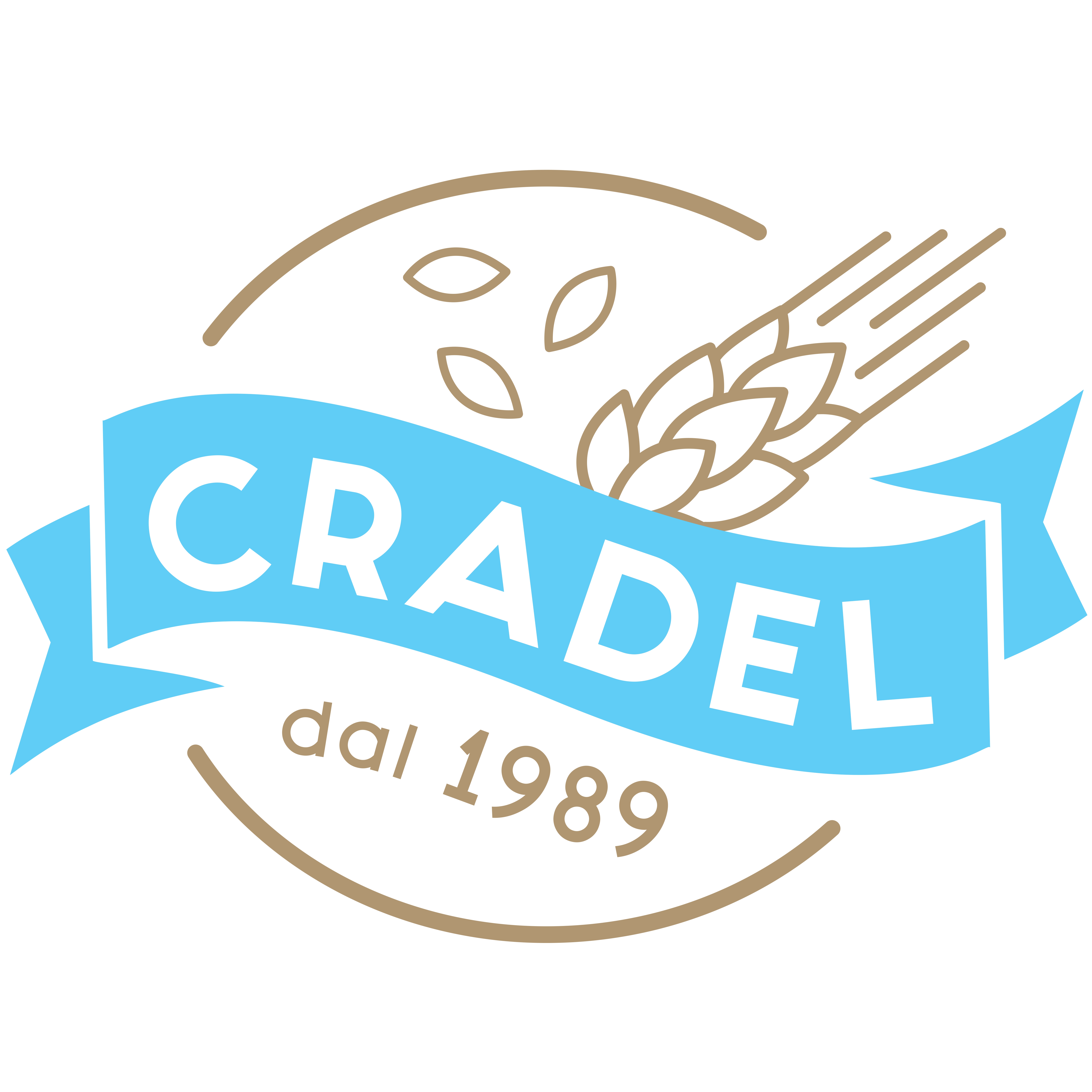 Logo Cradel